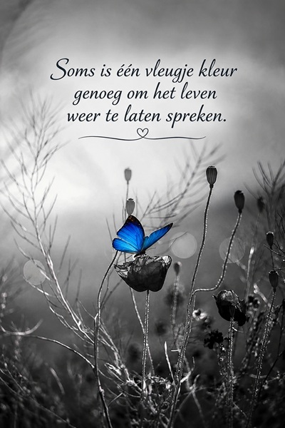 2026-9-5-zaterdag