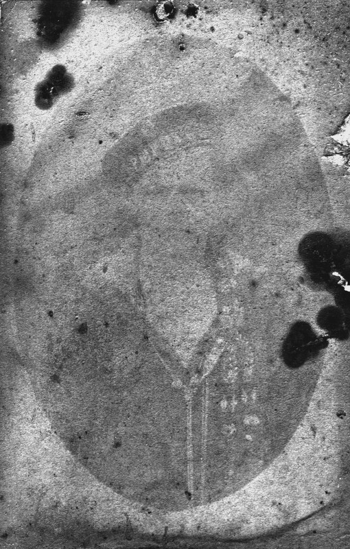 ретушь Яковлев