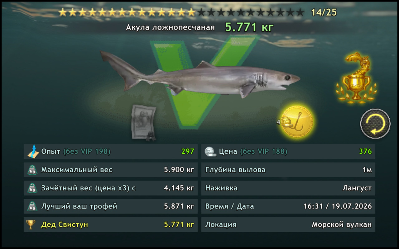 Akula-loznopescanaa.jpg