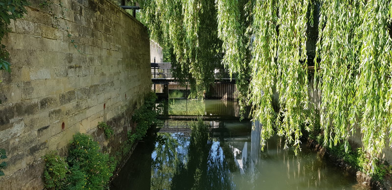 Pieter, (S)chaloens Molen 03 Oud-Valkenburg 20-07-2018