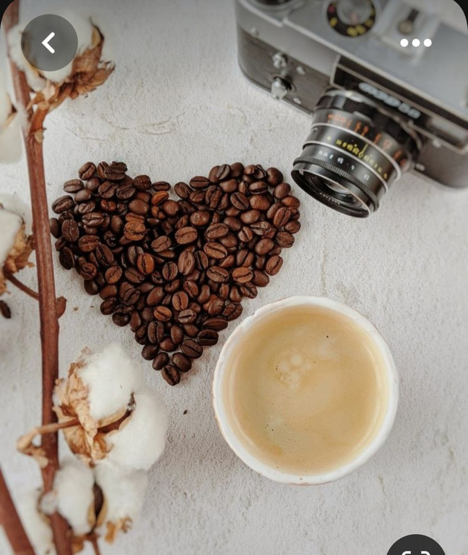 Screenshot_20230717_221410_Pinterest