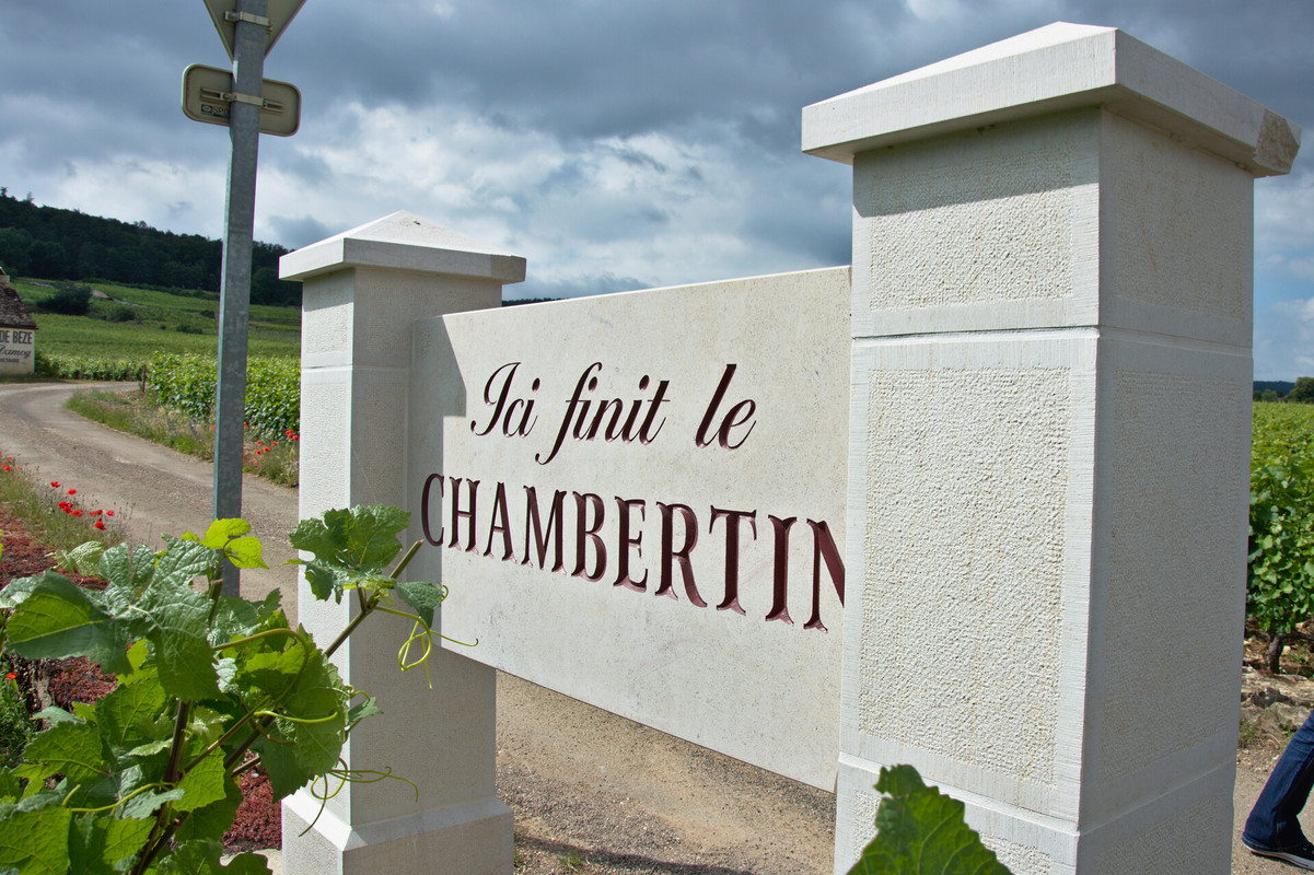 WE en Bourgogne les 22 et 23 juin R-DSC1457
