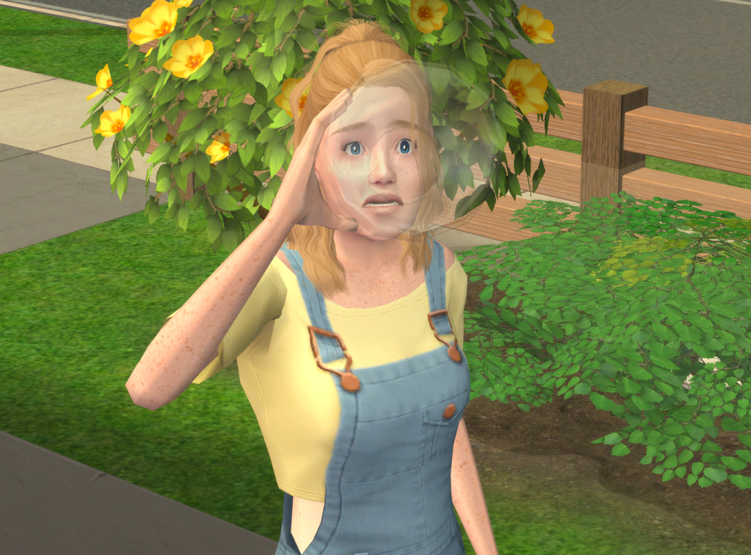 Sims2-EP9-RPC-2024-03-03-10-55-55-14