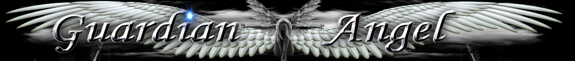 Browse to the homepage of Guardian-Angel Browse to the homepage of Guardian-Angel