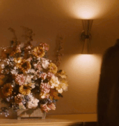 IMG-6520.gif