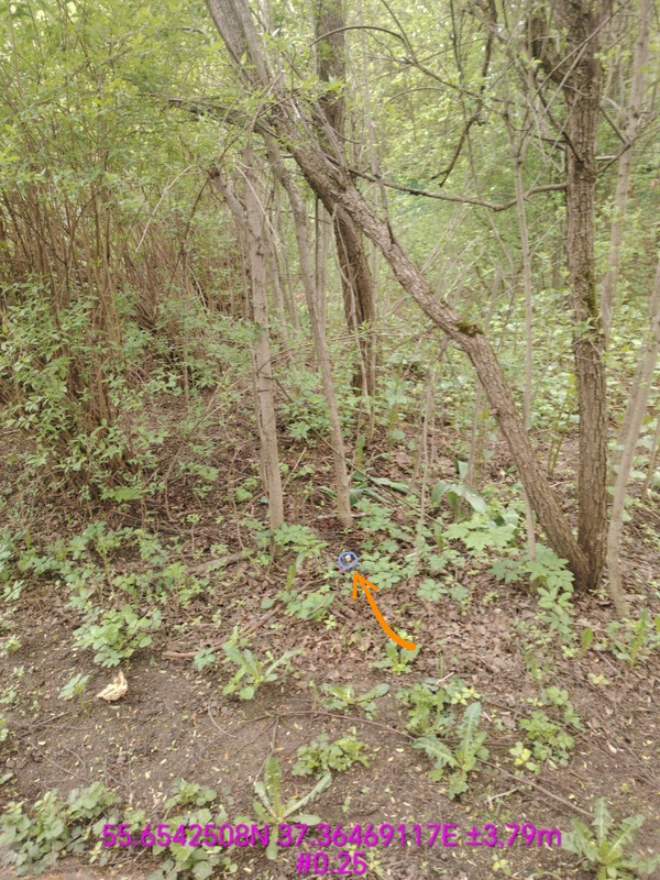 IMG 20260511 121452 671