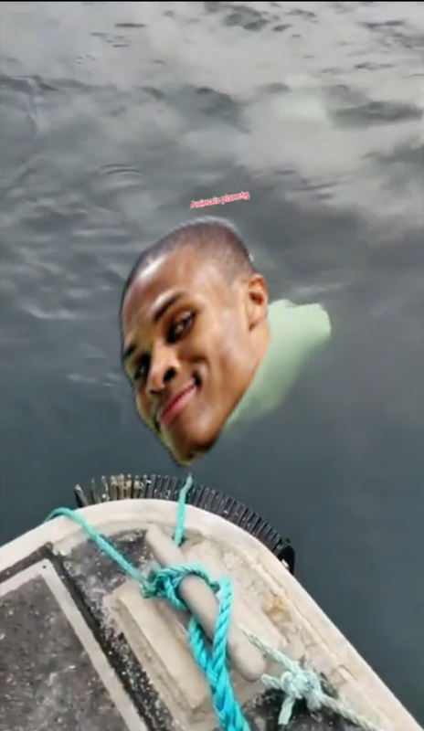 Cupace20230611124127422.png