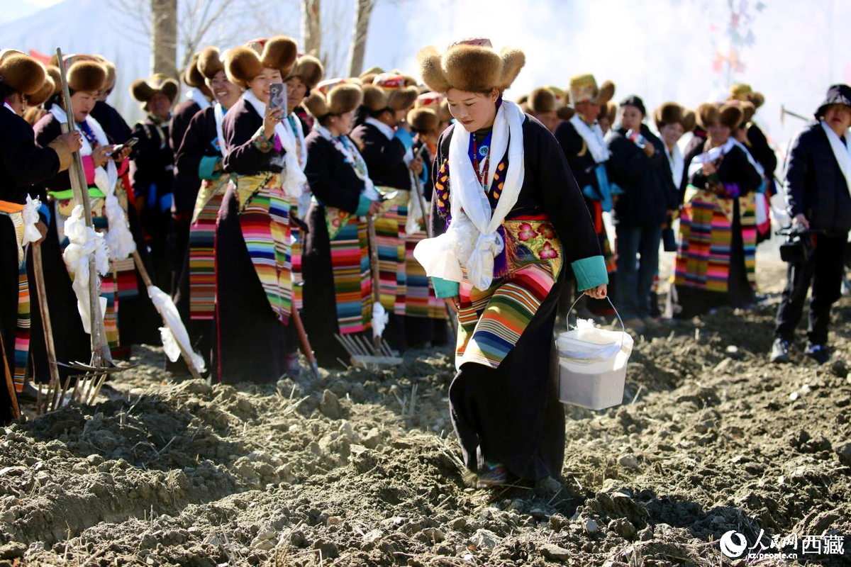 LOCAL1742203463085XVAPP55KOS