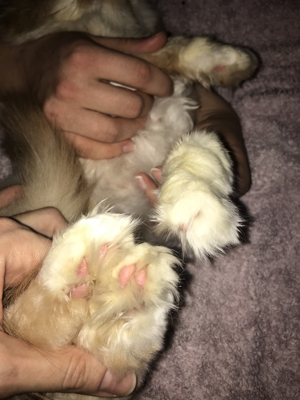 ADA0B05D-87E0-4465-8EAE-0379CC726BA4