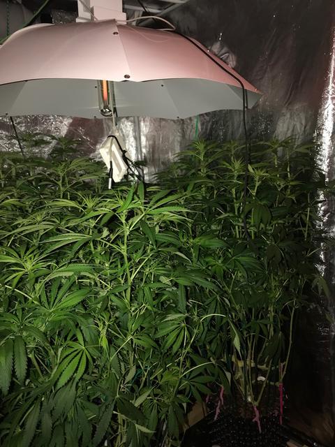 FAF9E375-49FD-4FE5-99D9-FA0770780CDF