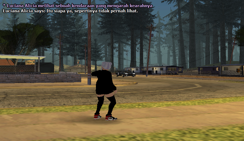 SS10.png