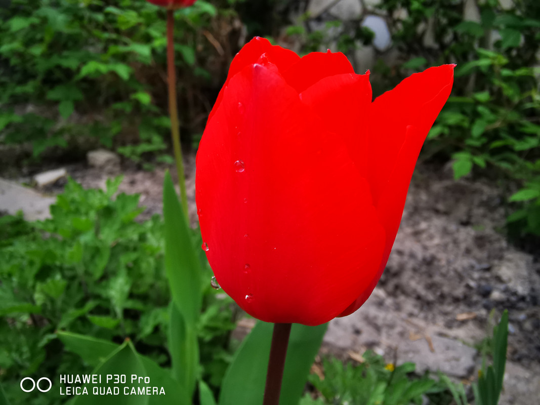 IMG_20190407_172930