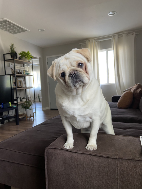 ADDB3985-5B4D-4559-A0B6-36232FC4C04C