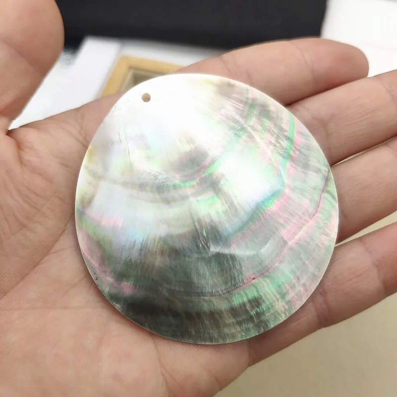 Abalone Shell Sheets Close-up