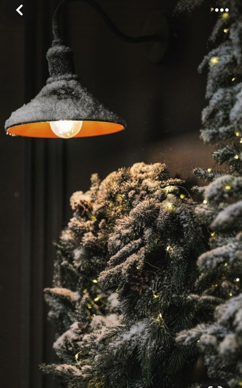 Screenshot_20231223_231228_Pinterest