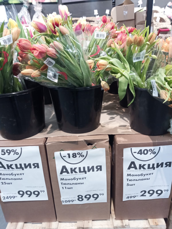 8м цветы цены