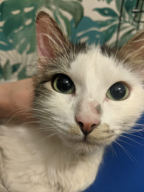 BA4F5D1B-BFCA-4BC1-91BE-20417F326464