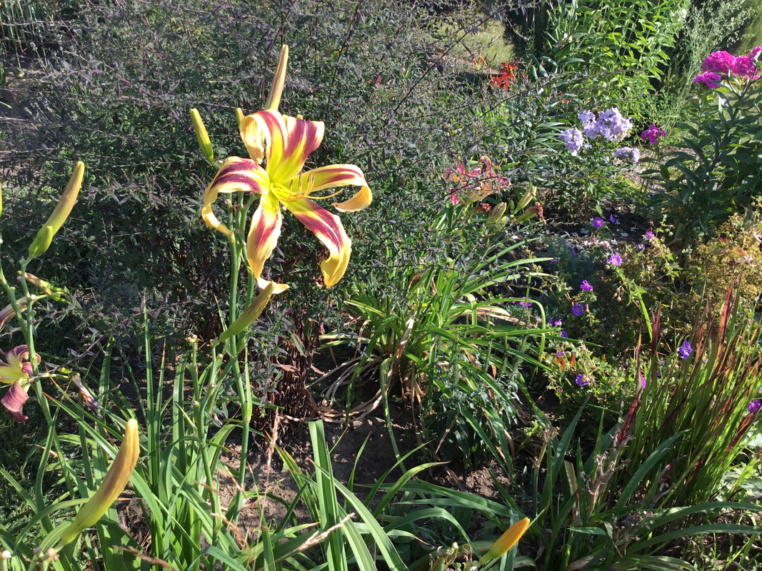 15790319-630F-4006-922F-335A86E50034