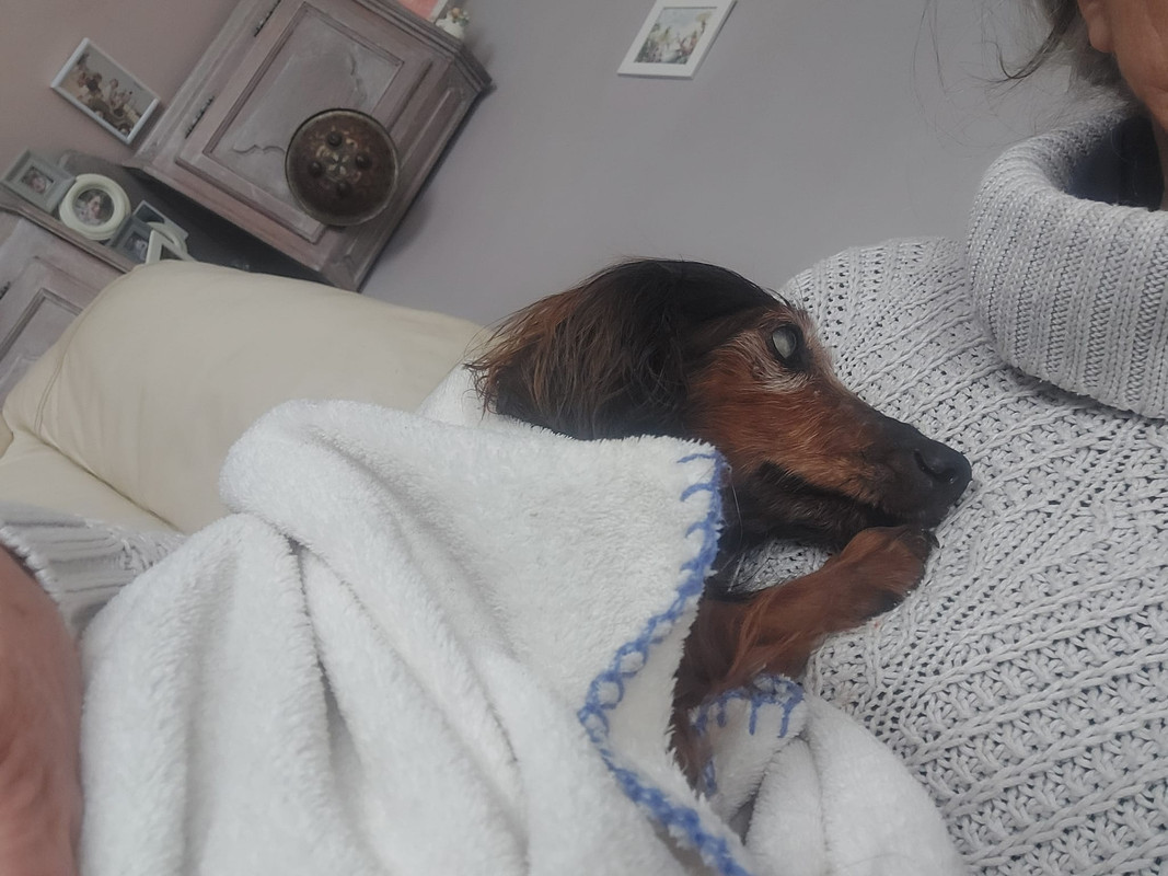 [Image: IMG-20240429-WA0020.jpg]