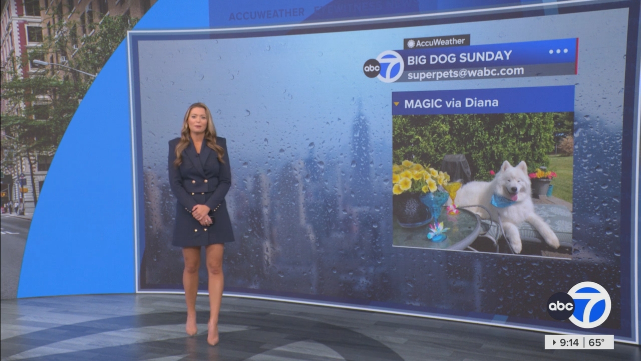 Eyewitness News Sunday Morning_20250504_14001500.ts_snapshot_00.15.02.952