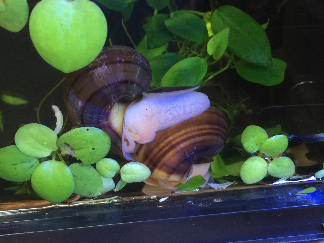 EFF026B3-C7B7-4E6E-A3E9-0E0DFAF23FFE