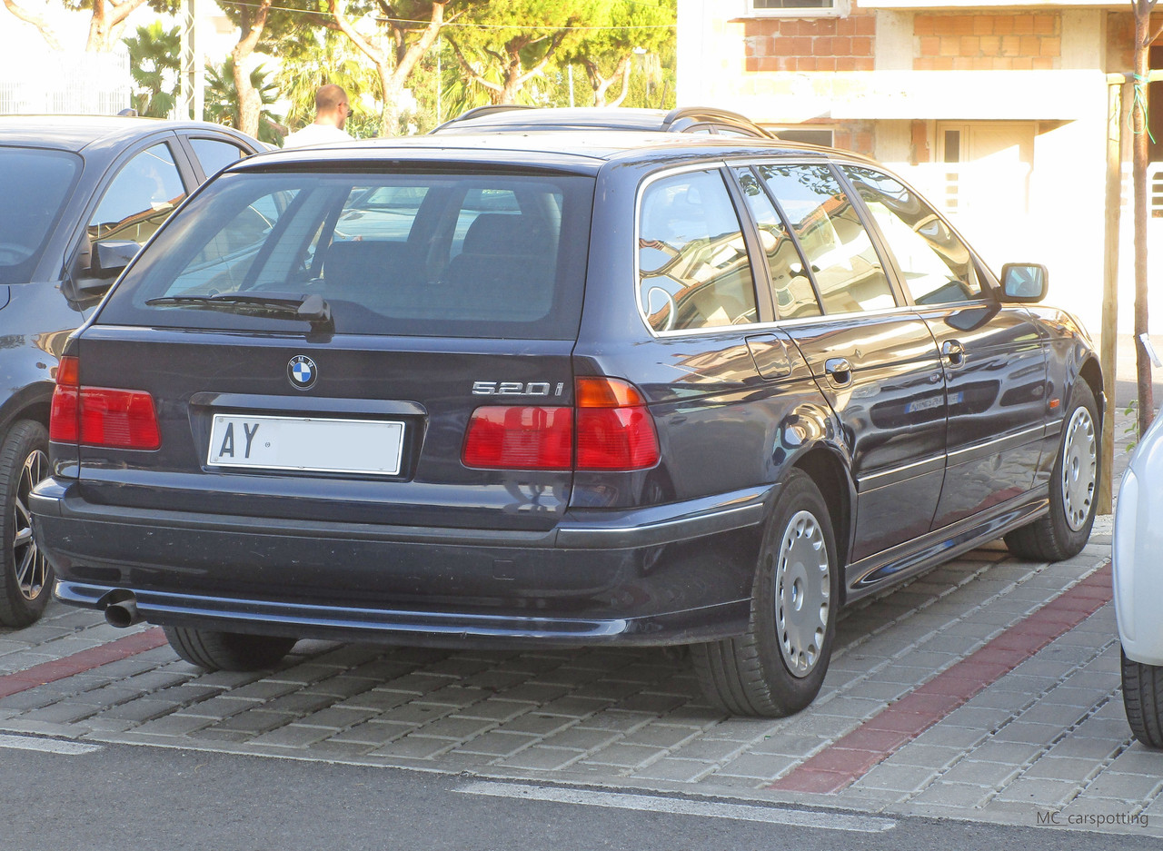 IMG-8723.jpg