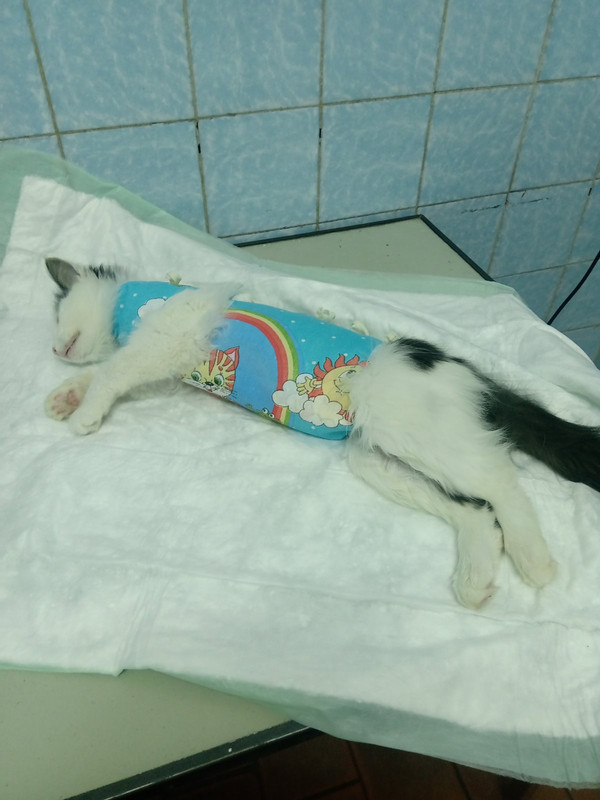 IMG-3f718a552b0d541e2cd4d1a95ee3a1f9-V