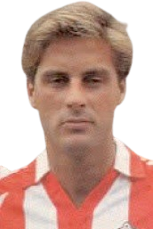 Bodelón