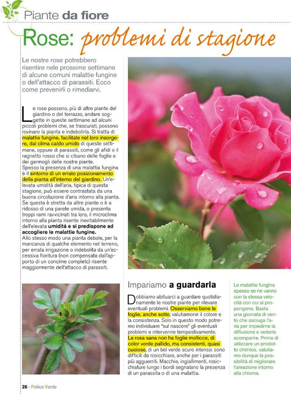 Pol Ver Mag 2020 (3)