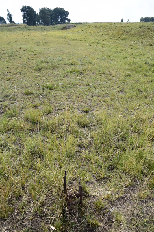 DSC 0076