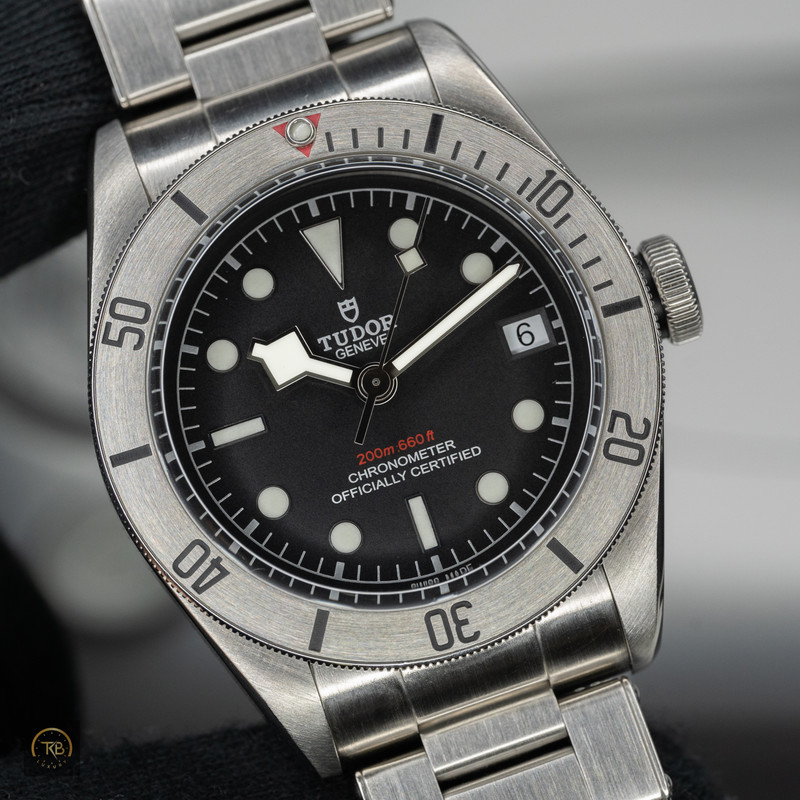 Tudor Black Bay Steel