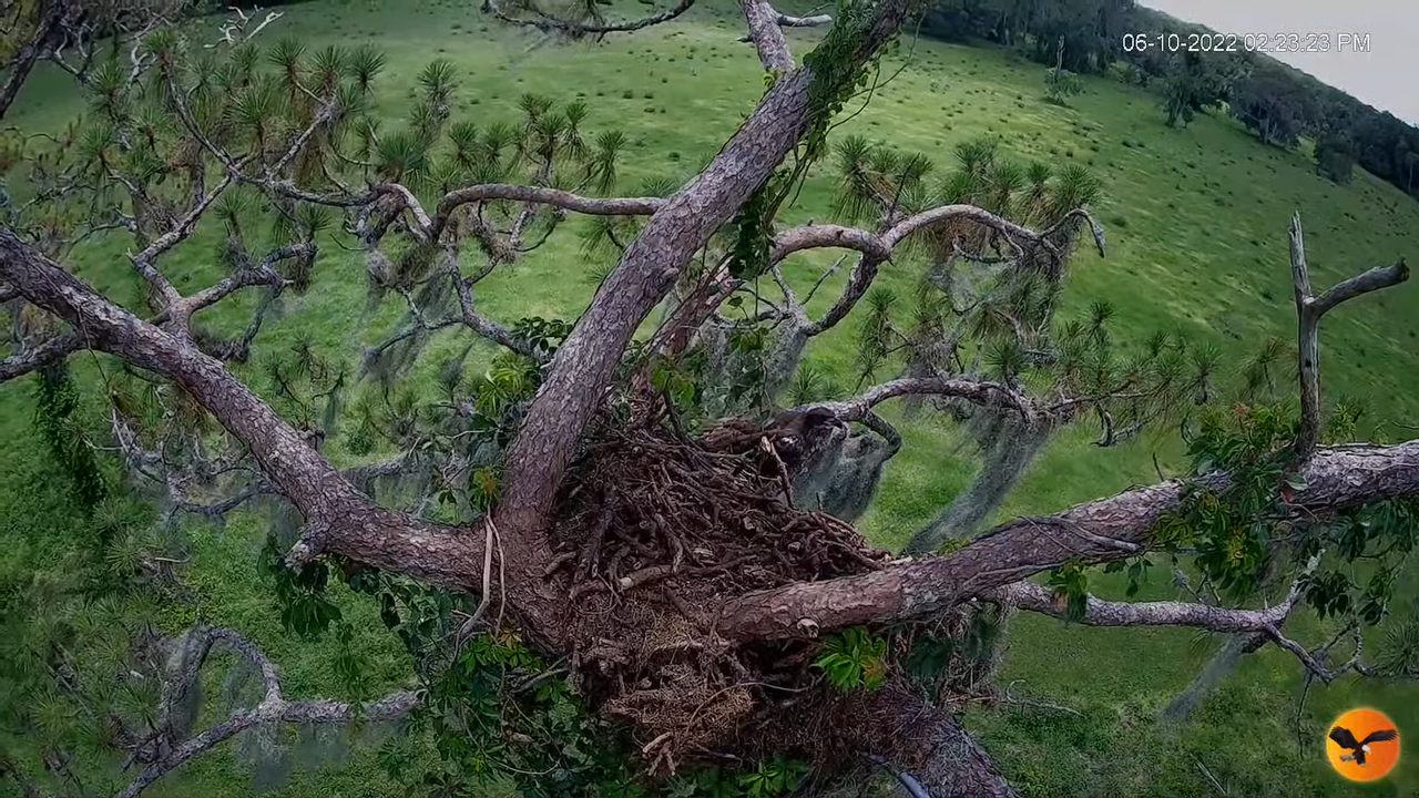 EC 4K Overhead Cam 15-1-39 screenshot