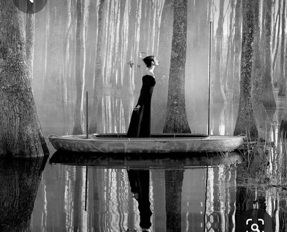 Screenshot_20230921_204720_Pinterest