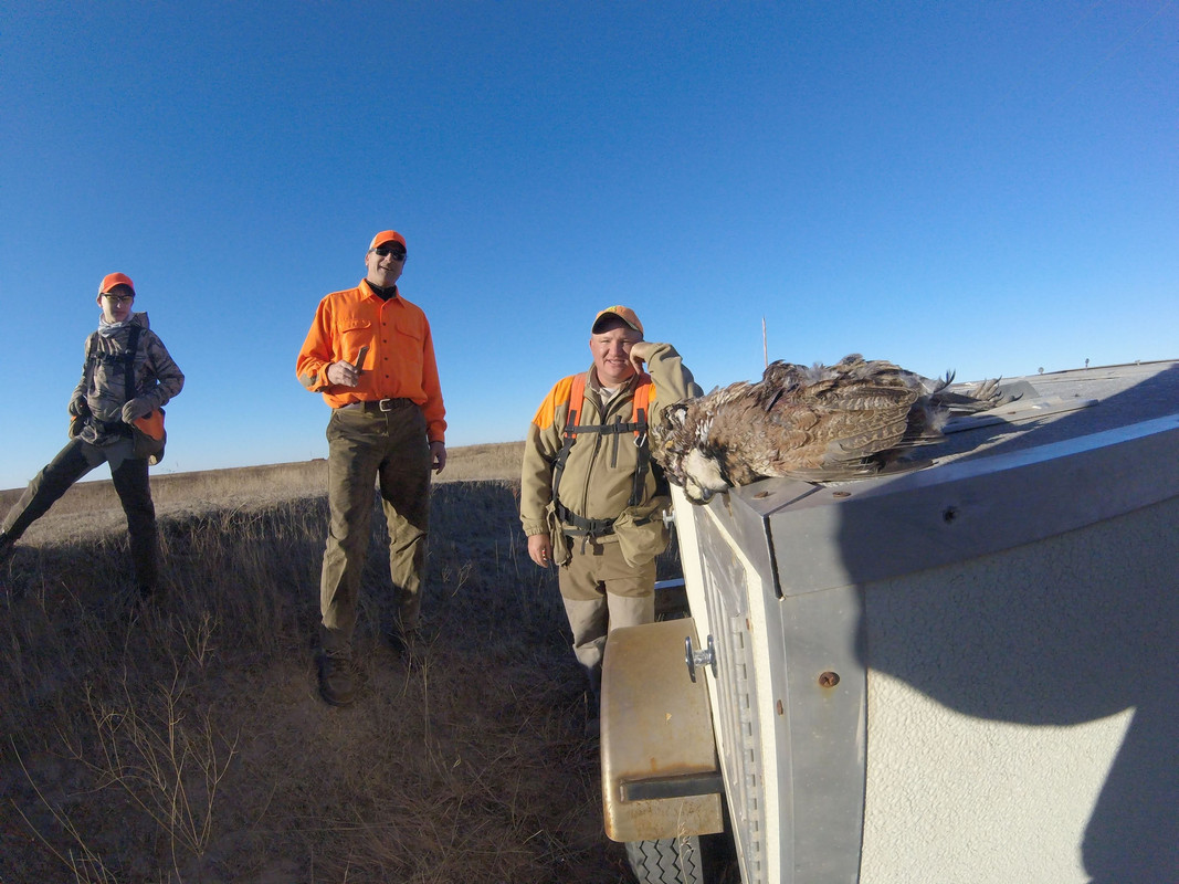 38532498551_7758f243e6_o