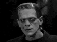 IMG-7861.gif