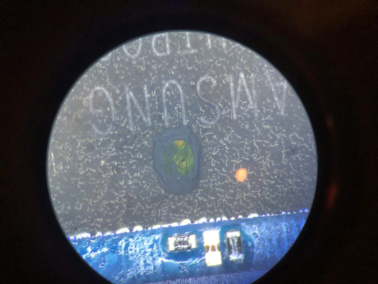 photo 2026 01 04 13 06 24