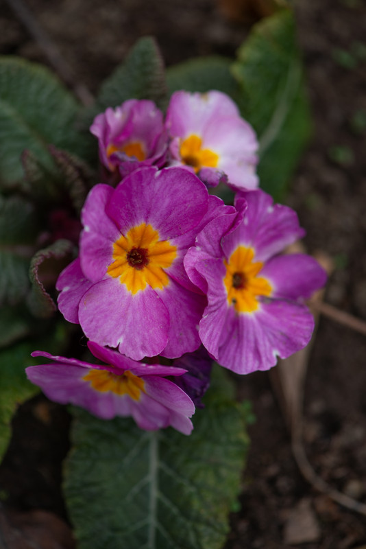 IMG-e98fd18ee3294a845d317158345b5bf2-V