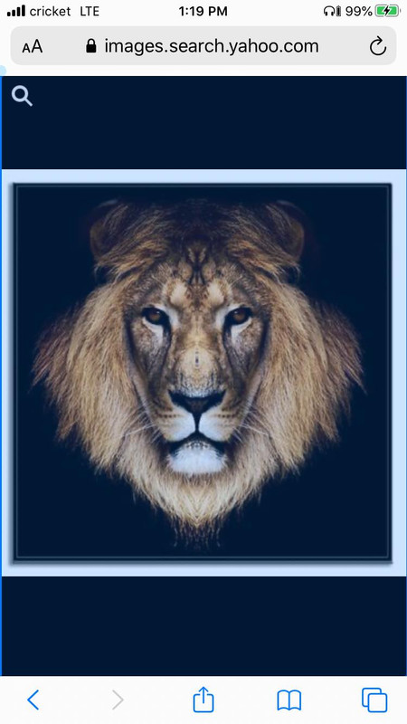 118218955_307861283655706_5484060123066945045_n