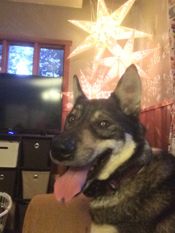 D411F7E0-D5CB-4220-B6D8-8AA59CF90540