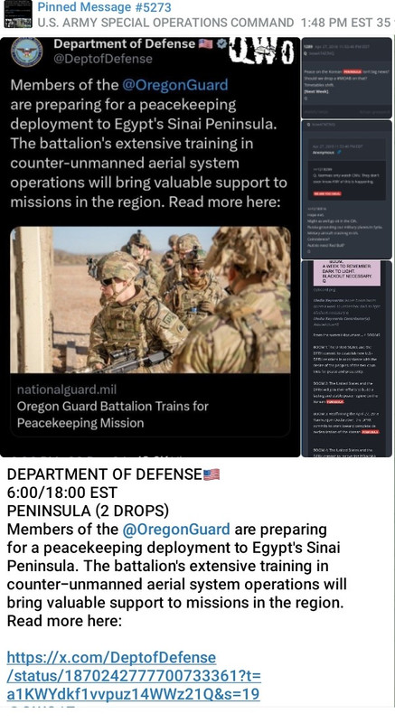 Screenshot_20241220_210223_Telegram~2