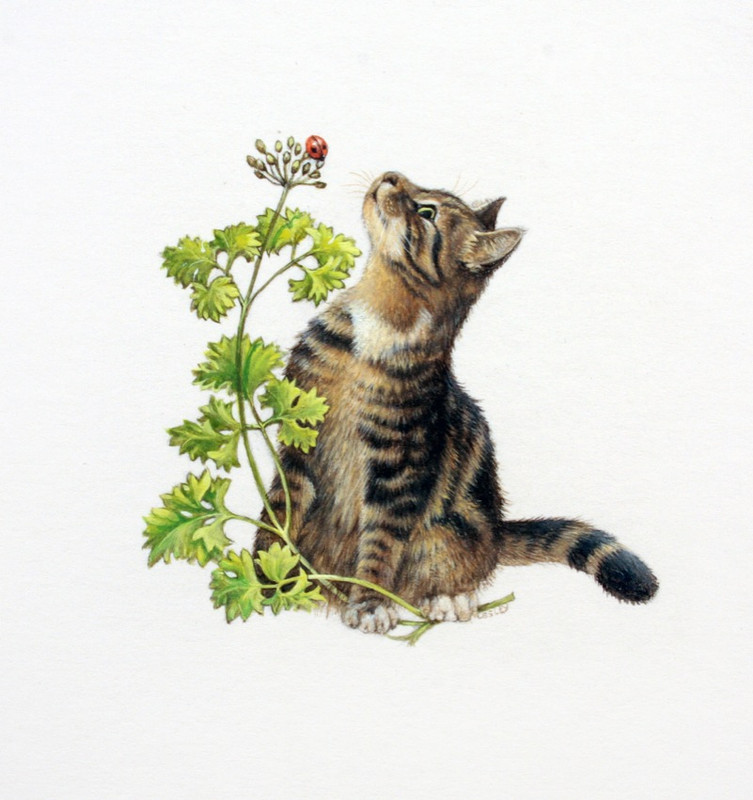 1-OCTOPUSSY-WITH-PARSLEY-1-C16759-1