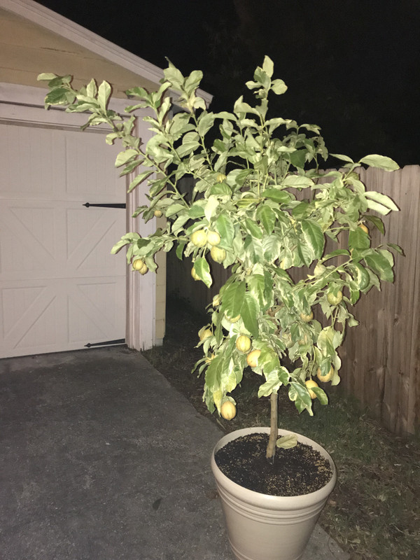 902F00FD-305E-4FAC-9ABF-5A47D45C69E8