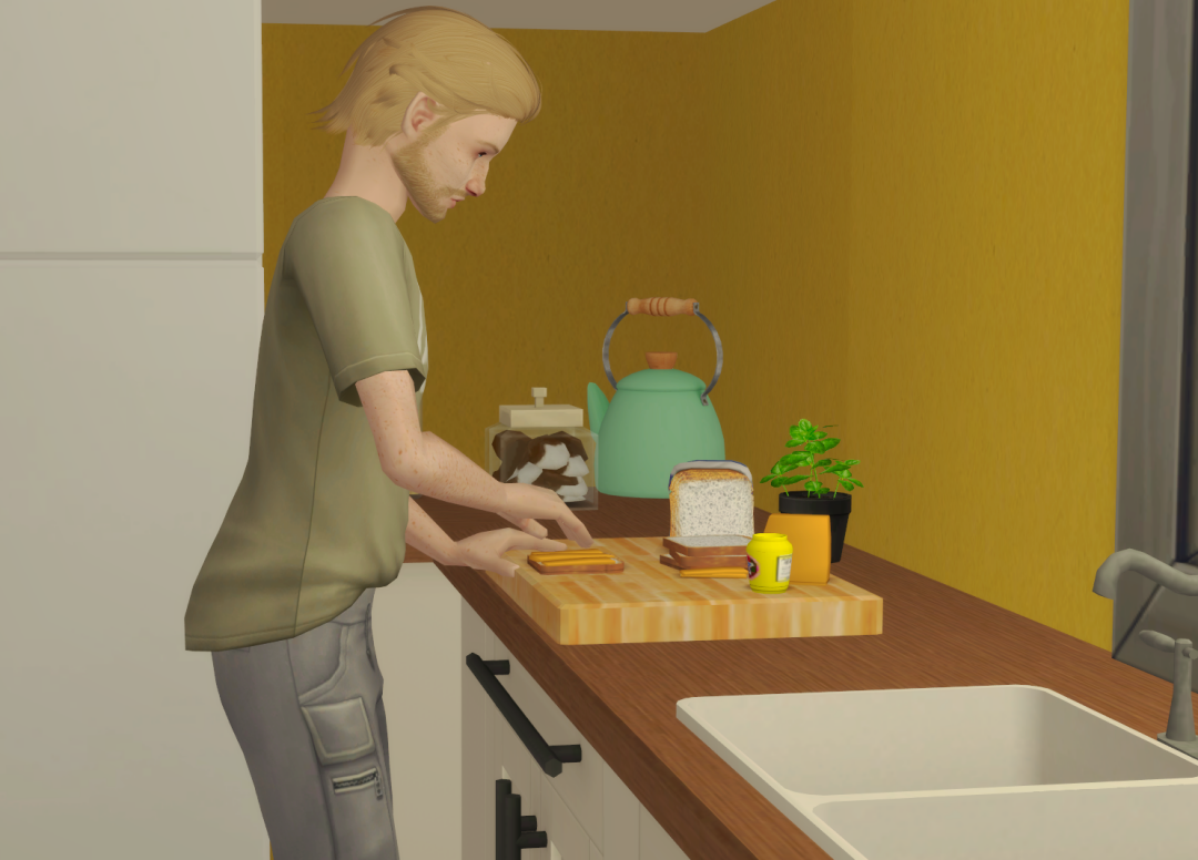 Sims2-EP9-RPC-2024-03-08-15-07-52-87