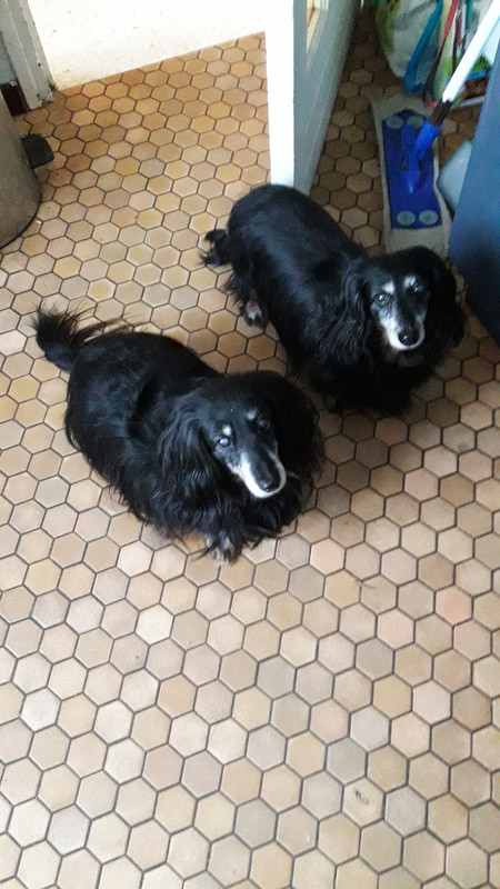 [Image: 20210306-080801.jpg]