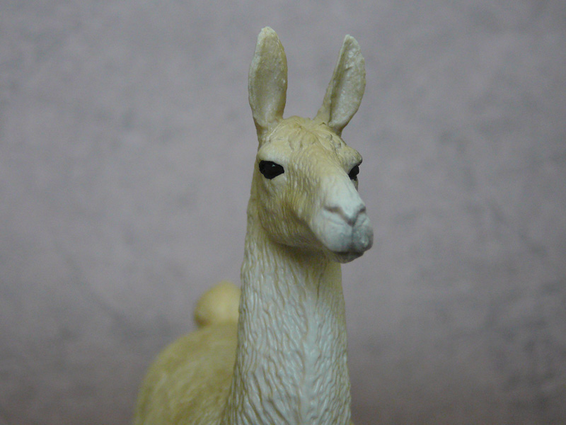 Mojö 2019 Llama and Cria- a walkaround by A.R.Garcia P1090612ed