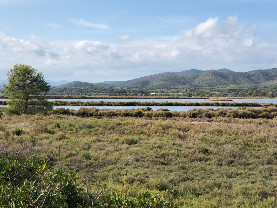 478A7378-D700-4B8F-8EB5-057DBC8889CE