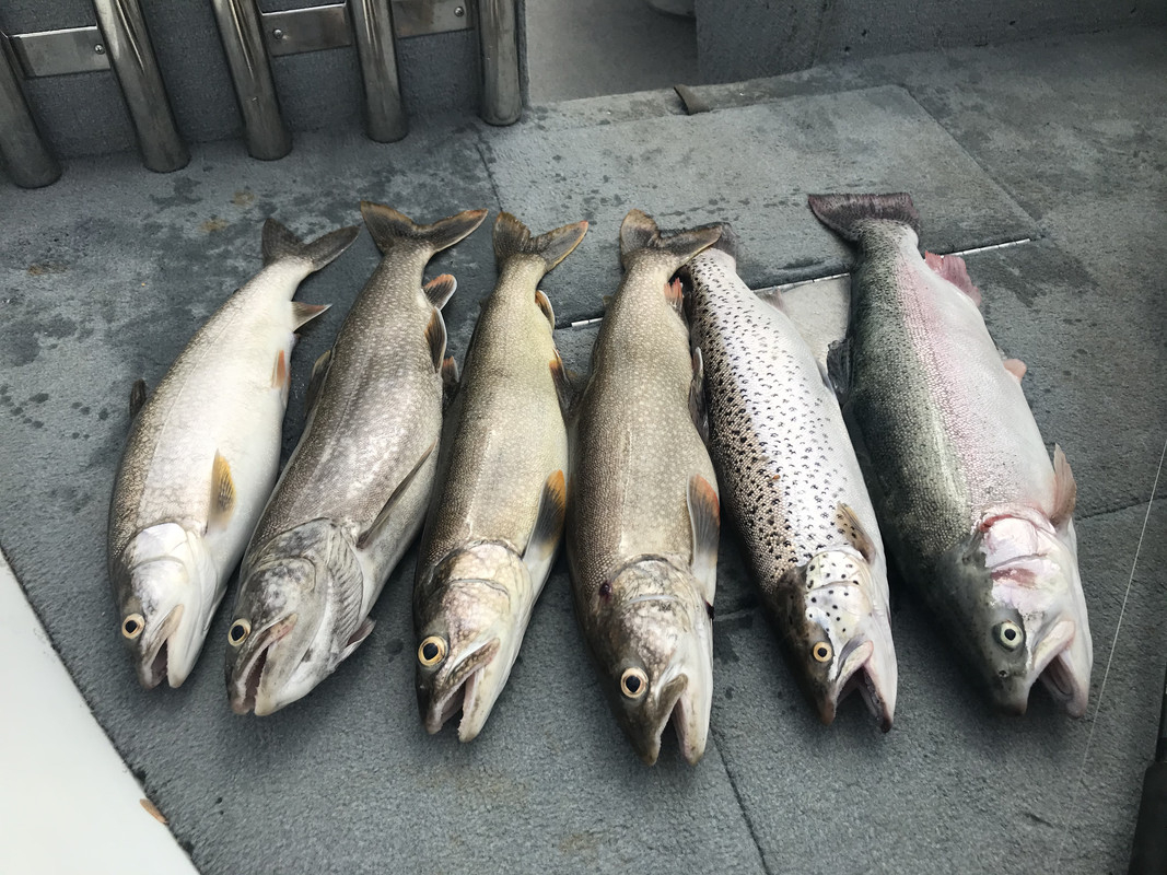 1BF0DA7F-DD58-4C06-88CD-D903477E86A4