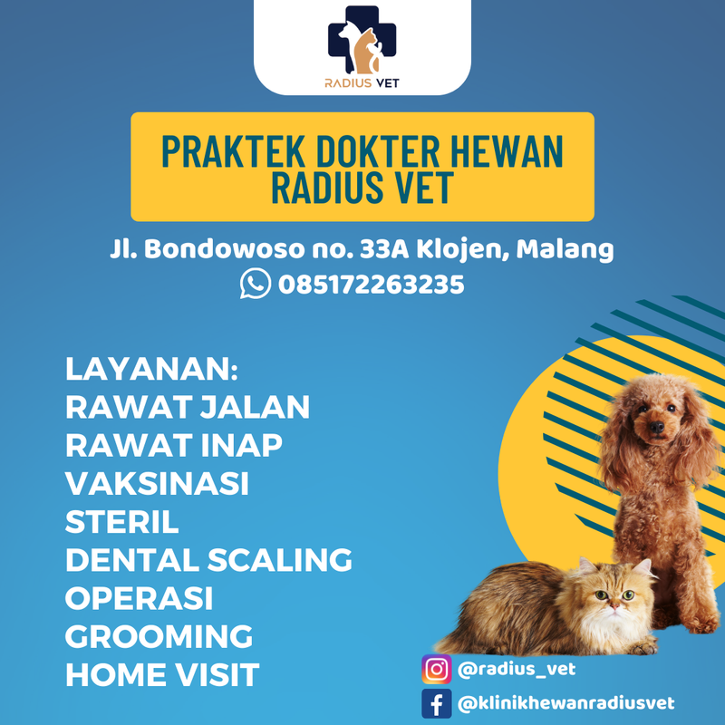 PRAKTEK DOKTER HEWAN (1)