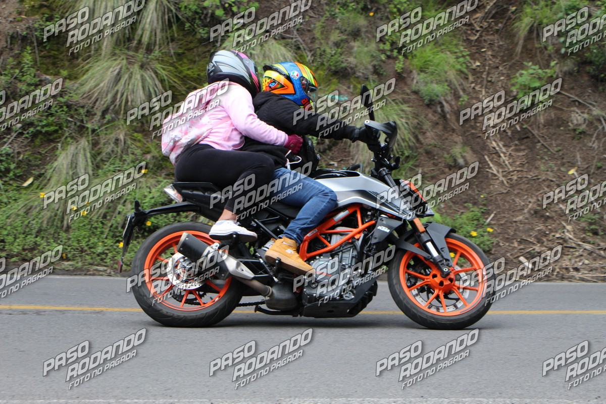 IMG 4471 wm 5028998 8 watermarked — Postimages