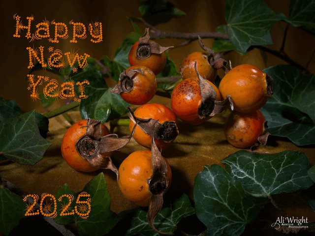 New Year Card 2025_web